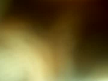 15031993_pt