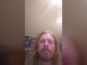 hollybigdog
