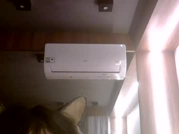 skinnykittencam